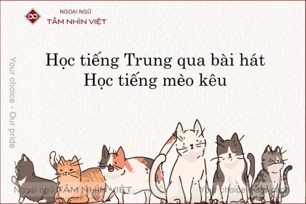 Học tiếng mèo kêu tiếng Trung - Phiên âm - Lời Việt