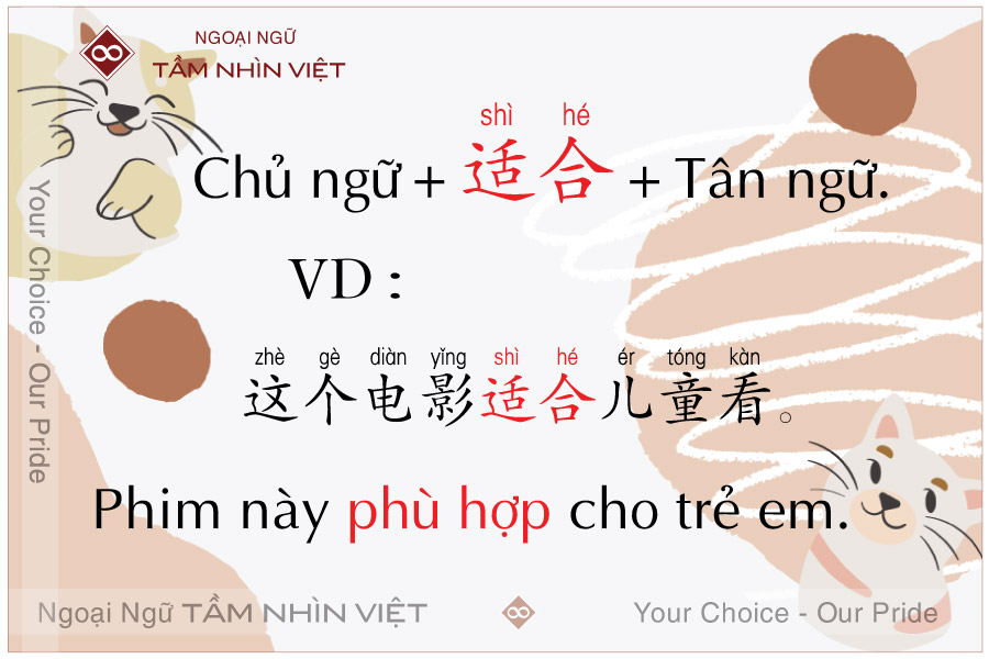 Cách dùng 适合 đúng ngữ pháp tiếng Trung