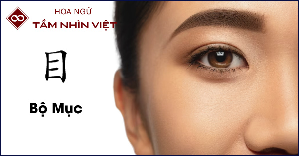 Bộ Mục