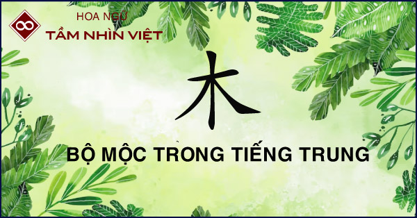 ảnh đại diện bài viết về bộ Mộc